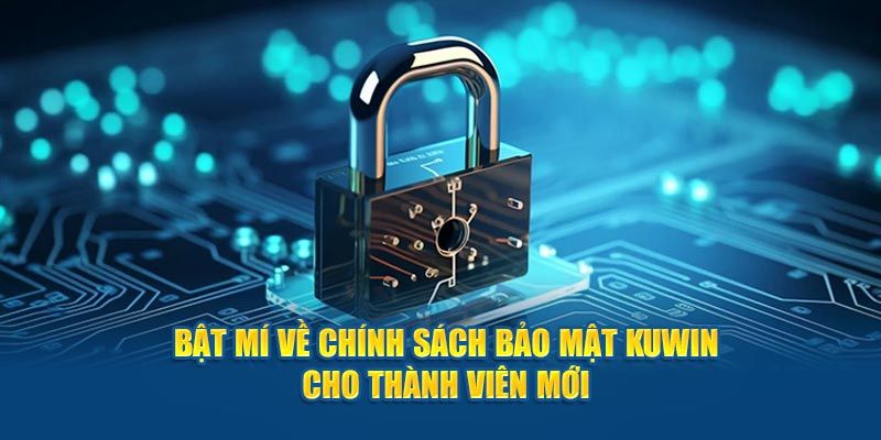 Quyền lợi người chơi theo điều khoản chính sách bảo mật